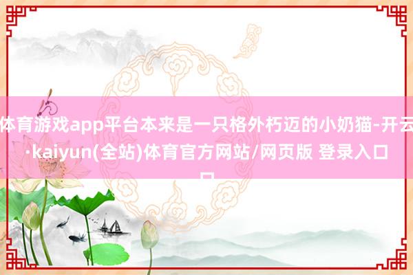 体育游戏app平台本来是一只格外朽迈的小奶猫-开云·kaiyun(全站)体育官方网站/网页版 登录入口