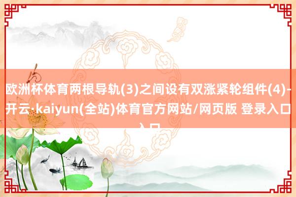 欧洲杯体育两根导轨(3)之间设有双涨紧轮组件(4)-开云·kaiyun(全站)体育官方网站/网页版 登录入口