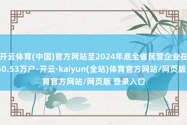 开云体育(中国)官方网站至2024年底全省民营企业在册总量350.53万户-开云·kaiyun(全站)体育官方网站/网页版 登录入口