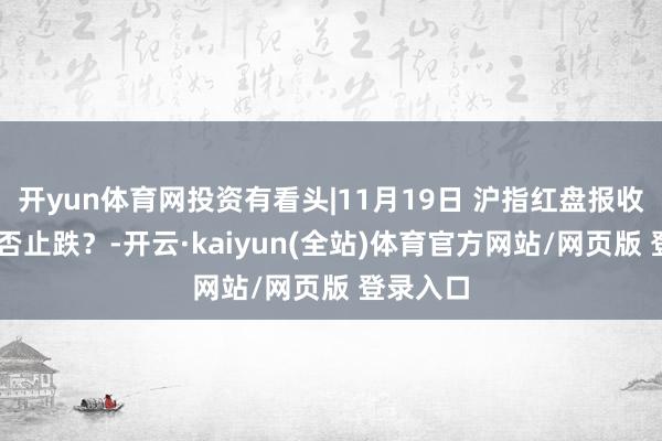 开yun体育网投资有看头|11月19日 沪指红盘报收 短线是否止跌？-开云·kaiyun(全站)体育官方网站/网页版 登录入口