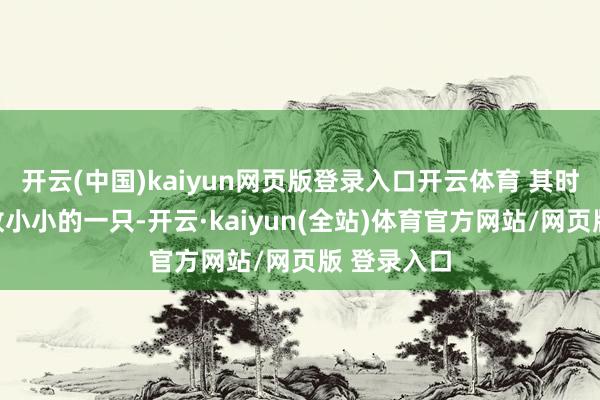 开云(中国)kaiyun网页版登录入口开云体育 其时辰泰露如故小小的一只-开云·kaiyun(全站)体育官方网站/网页版 登录入口