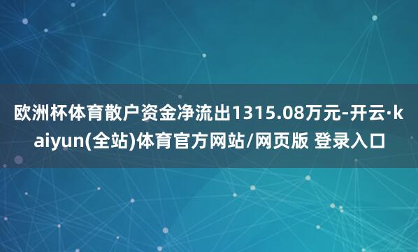 欧洲杯体育散户资金净流出1315.08万元-开云·kaiyun(全站)体育官方网站/网页版 登录入口